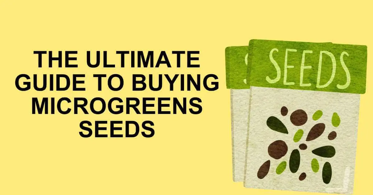 learn how to buy microgreens seeds online