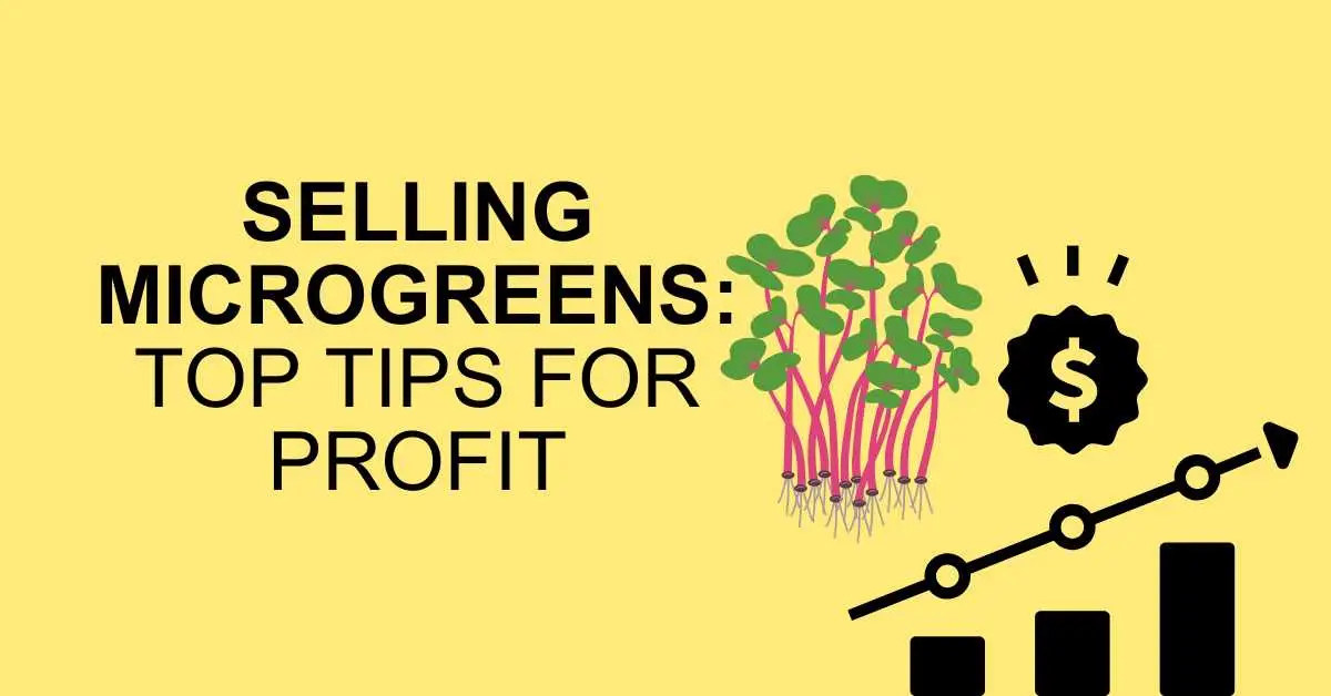 how to sell microgreens