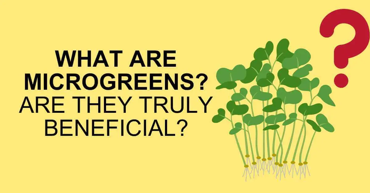 learn what microgreens are