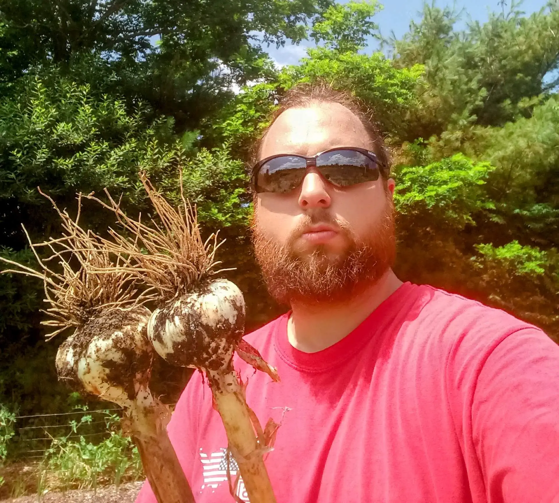 About 1 Chris B growing garlic
