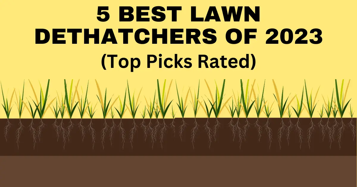 best lawn dethatchers featured image