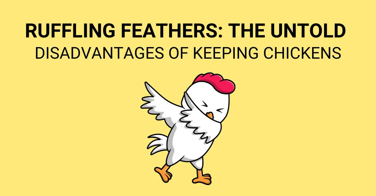 disadvantages of keeping chickens