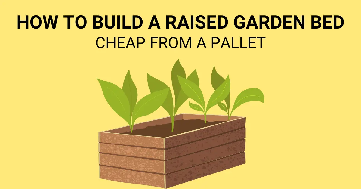 cheap raised garden bed featured image