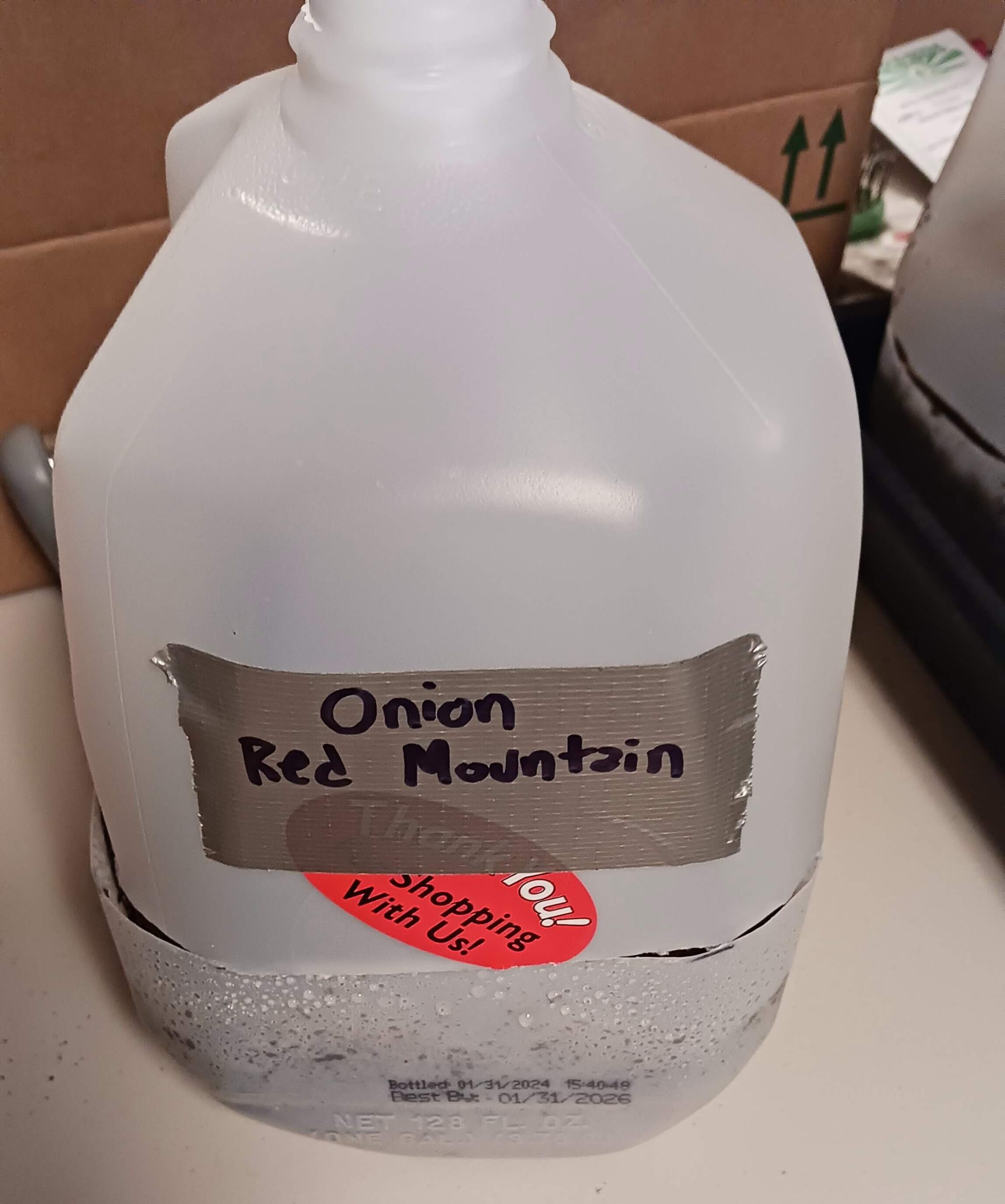 Properly labeled winter sowing container for Red Mountain onions, demonstrating clear identification methods.