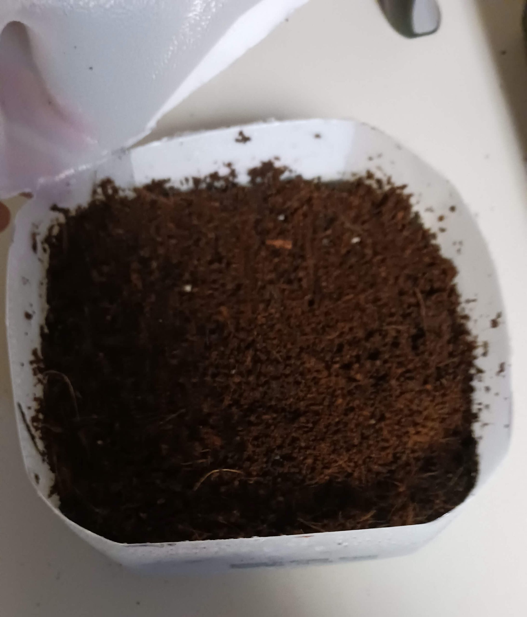 Quality potting soil properly filled in a winter sowing container, showing ideal depth and texture