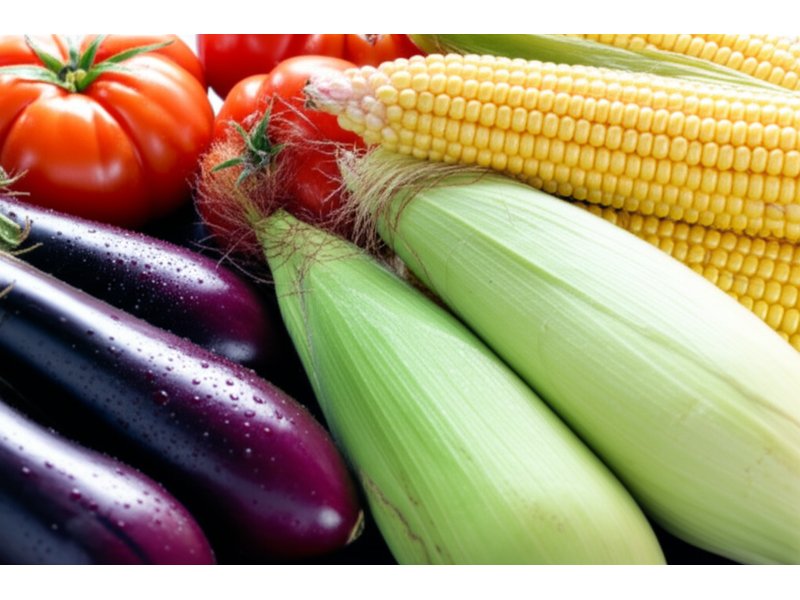 spring homestead preparation